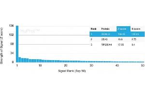 Analysis of Protein Array containing more than 19,000 full-length human proteins using ICOS-L Mouse Monoclonal Antibody (ICOSL/3111). (ICOSLG 抗体  (AA 23-149))