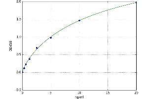 A typical standard curve (LACTB ELISA 试剂盒)