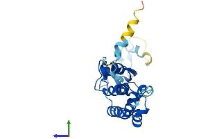 Protein Structure (PS) image for GINS Complex Subunit 3 (Psf3 Homolog) (GINS3) (AA 1-216) protein (His tag) (ABIN7560748)