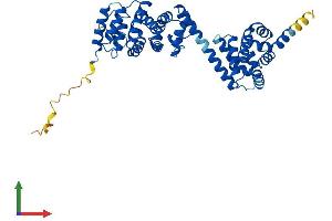 AlphaFold protein structure predicition of Human Recombinant BZW1 Protein, UniprotID Q7L1Q6