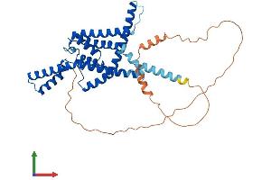 AlphaFold protein structure predicition of Human Recombinant KCNK3 Protein, UniprotID O14649 (KCNK3 Protein (AA 1-394) (His tag))