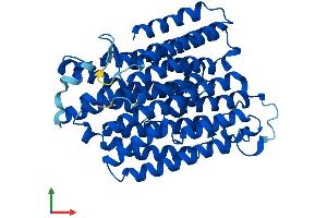 Protein Structure (PS) image for Mitochondrially Encoded NADH Dehydrogenase 4 (MT-ND4) (AA 1-459) protein (His tag) (ABIN7562734)