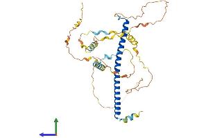 AlphaFold protein structure predicition of Human Recombinant CEBPA Protein, UniprotID P49715