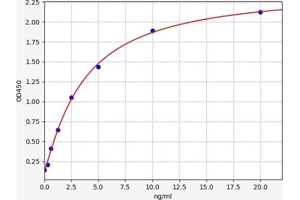 CD44 ELISA 试剂盒