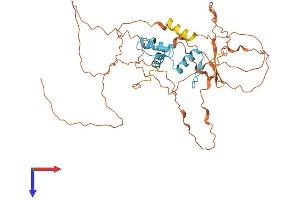 AlphaFold protein structure predicition of Mouse Recombinant Klf15 Protein, UniprotID Q9EPW2 (KLF15 Protein (AA 1-415) (His tag))