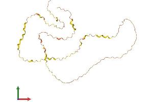 AlphaFold protein structure predicition of Human Recombinant BBC3 Protein, UniprotID Q96PG8 (PUMA Protein (AA 1-261) (His tag))
