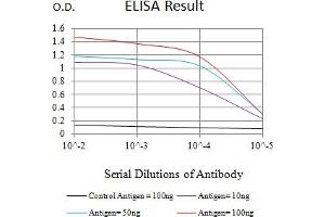 Black line: Control Antigen (100 ng),Purple line: Antigen (10 ng), Blue line: Antigen (50 ng), Red line:Antigen (100 ng) (LIFR 抗体  (AA 22-441))