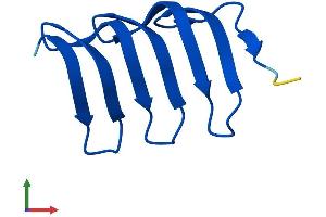 AlphaFold protein structure predicition of Mouse Recombinant Morn2 Protein, UniprotID Q6UL01 (MORN2 Protein (AA 1-79) (Fc Tag))