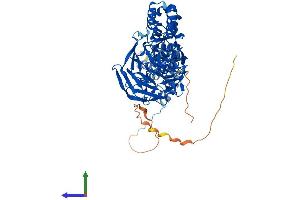 Protein Structure (PS) image for Kelch-Like 17 (KLHL17) (AA 1-640) protein (His tag) (ABIN7558111)
