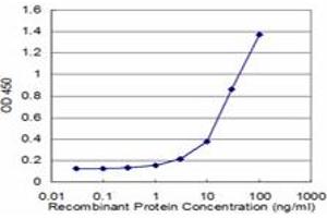 Detection limit for recombinant GST tagged RPL32 is approximately 1ng/ml as a capture antibody. (RPL32 抗体  (AA 33-132))