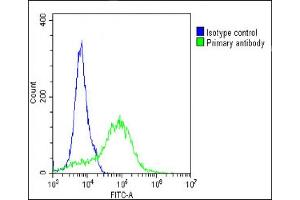 Overlay histogram showing A549 cells stained with (ABIN392043 and ABIN2841811)(green line).