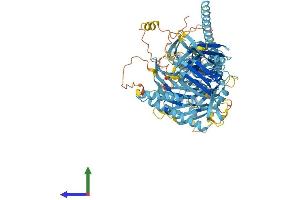Protein Structure (PS) image for Chromosome 17 Open Reading Frame 70 (C17ORF70) (AA 1-881) protein (His tag) (ABIN7553942)