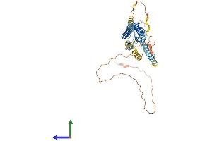 Protein Structure (PS) image for Gap Junction Protein, alpha 5, 40kDa (GJA5) (AA 1-358) protein (His tag) (ABIN7556857)