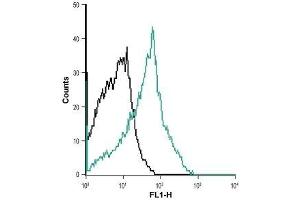 Cell surface detection of NK1 receptor in MEG-O1 living cells: (black line) Unstained cells. (TACR1 抗体  (Extracellular) (Atto 488))