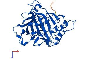 CA7 Protein (AA 1-264) (His tag)