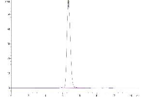 The purity of Cynomolgus HLA-G Complex Tetramer is greater than 95 % as determined by SEC-HPLC. (HLAG Protein (AA 25-305, Tetramer) (His-Avi Tag,Peptide (RIIPRHLQL)))