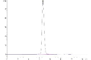 The purity of Cynomolgus HLA-G Complex Tetramer is greater than 95 % as determined by SEC-HPLC. (HLAG Protein (Tetramer) (HLA-G))