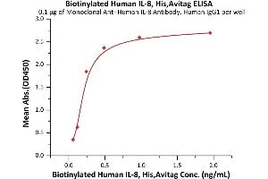 Interleukin 8 (IL8) (AA 28-99) (Active) protein (His tag,AVI tag,Biotin)