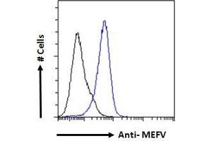 ABIN185451 Flow cytometric analysis of paraformaldehyde fixed A431 cells (blue line), permeabilized with 0. (MEFV 抗体  (Internal Region))