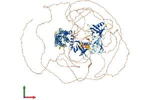 Protein Structure (PS) image for FYVE, RhoGEF and PH Domain Containing 5 (FGD5) (AA 1-1219) protein (His tag) (ABIN7564265)