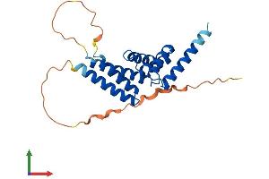 AlphaFold protein structure predicition of Human Recombinant TTC9 Protein, UniprotID Q92623