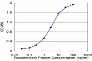 Detection limit for recombinant GST tagged PON1 is approximately 0. (PON1 抗体  (AA 246-355))