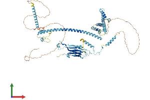 Protein Structure (PS) image for Cactin, Spliceosome C Complex Subunit (CACTIN) (AA 1-758) protein (His tag) (ABIN7553131)