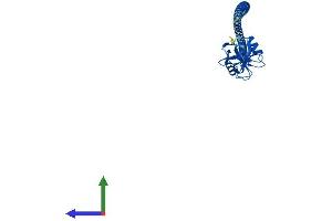 Protein Structure (PS) image for C-Type Lectin Domain Family 4, Member G (CLEC4G) (AA 1-294) protein (His tag) (ABIN7558789)