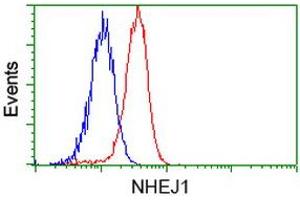 Flow cytometric Analysis of Hela cells, using anti-NHEJ1 antibody (ABIN2453349), (Red), compared to a nonspecific negative control antibody (TA50011), (Blue). (NHEJ1 抗体)