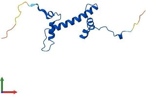 AlphaFold protein structure predicition of Human Recombinant H2AZ2 Protein, UniprotID Q71UI9