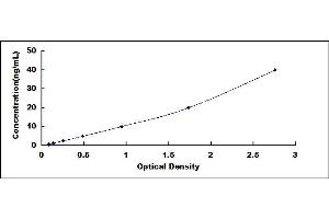 Typical standard curve (SLC22A12 ELISA 试剂盒)