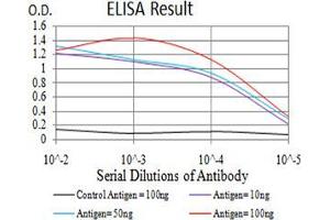Black line: Control Antigen (100 ng);Purple line: Antigen (10ng); Blue line: Antigen (50 ng); Red line:Antigen (100 ng) (Phospholipase C gamma 1 抗体  (AA 39-181))