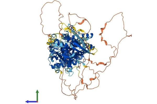 PIK3R5 Protein (AA 1-871) (His tag)