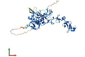 Protein Structure (PS) image for Testis Derived Transcript (3 LIM Domains) (TES) (AA 1-421) protein (His tag) (ABIN7544276)