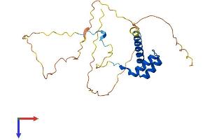 Homeobox C6 Protein (HOXC6) (AA 1-235) (His tag)