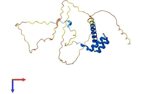 Homeobox C6 Protein (HOXC6) (AA 1-235) (His tag)
