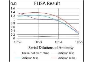 Black line: Control Antigen (100 ng), Purple line: Antigen(10 ng), Blue line: Antigen (50 ng), Red line: Antigen (100 ng), (GAB2 抗体  (AA 332-476))