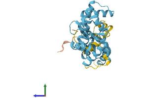 Protein Structure (PS) image for Calbindin 2 (CALB2) (AA 1-271) protein (His tag) (ABIN7552757)
