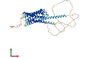 AlphaFold protein structure predicition of Human Recombinant HRH1 Protein, UniprotID P35367 (HRH1 Protein (AA 1-487) (His tag))