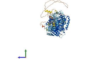 Protein Structure (PS) image for Solute Carrier Family 12 (Potassium-Chloride Transporter) Member 7 (SLC12A7) (AA 1-1083) protein (His tag) (ABIN7565246)