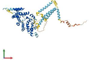Protein Structure (PS) image for Suppression of Tumorigenicity 7 (ST7) (AA 1-585) protein (His tag) (ABIN7546475)