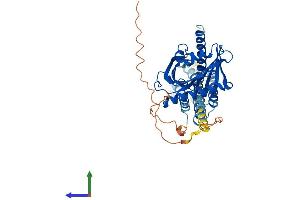 Protein Structure (PS) image for StAR-Related Lipid Transfer (START) Domain Containing 3 (STARD3) (AA 1-445) protein (His tag) (ABIN7544035)