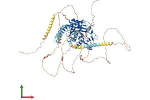 Protein Structure (PS) image for Tubulin tyrosine Ligase-Like Family, Member 6 (TTLL6) (AA 1-822) protein (His tag) (ABIN7561996)