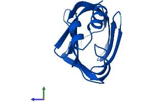 Protein Structure (PS) image for Cellular Retinoic Acid Binding Protein 2 (CRABP2) (AA 1-138) protein (His tag) (ABIN7551230)