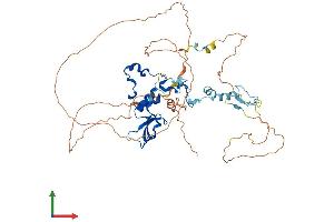 Protein Structure (PS) image for CCR4-NOT Transcription Complex, Subunit 2 (CNOT2) (AA 1-540) protein (His tag) (ABIN7564517)