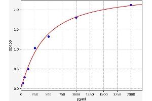 Typical standard curve (SOX6 ELISA 试剂盒)