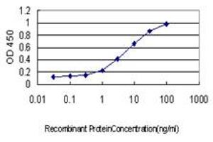 Detection limit for recombinant GST tagged ISGF3G is approximately 0. (IRF9 抗体  (AA 1-393))