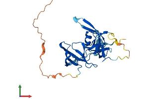 AlphaFold protein structure predicition of Mouse Recombinant Spin4 Protein, UniprotID Q8K1L2