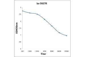 ELISA image for anti-Acidic (Leucine-Rich) Nuclear phosphoprotein 32 Family, Member C (ANP32C) (AA 81-180) antibody (ABIN759941)
