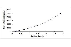 Typical standard curve (Retinoid X Receptor gamma ELISA 试剂盒)